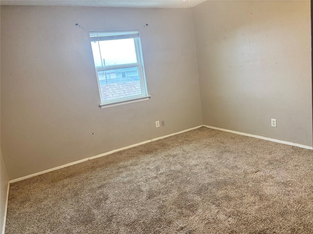 spare room featuring carpet