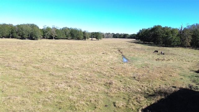 Listing photo 2 for 1194 County Road 2260, Grapeland TX 75844