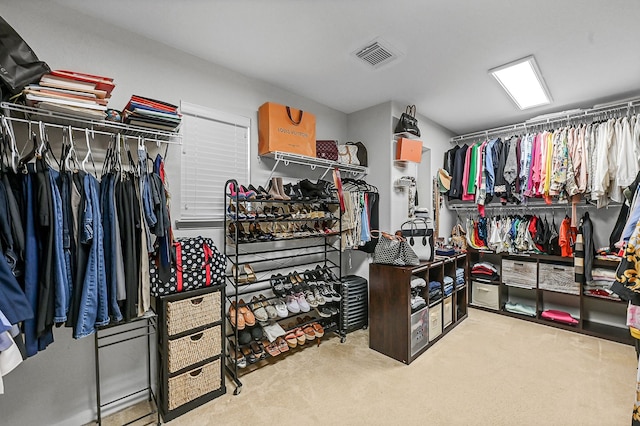 walk in closet with carpet floors