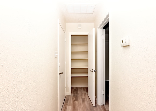 hall with light hardwood / wood-style flooring