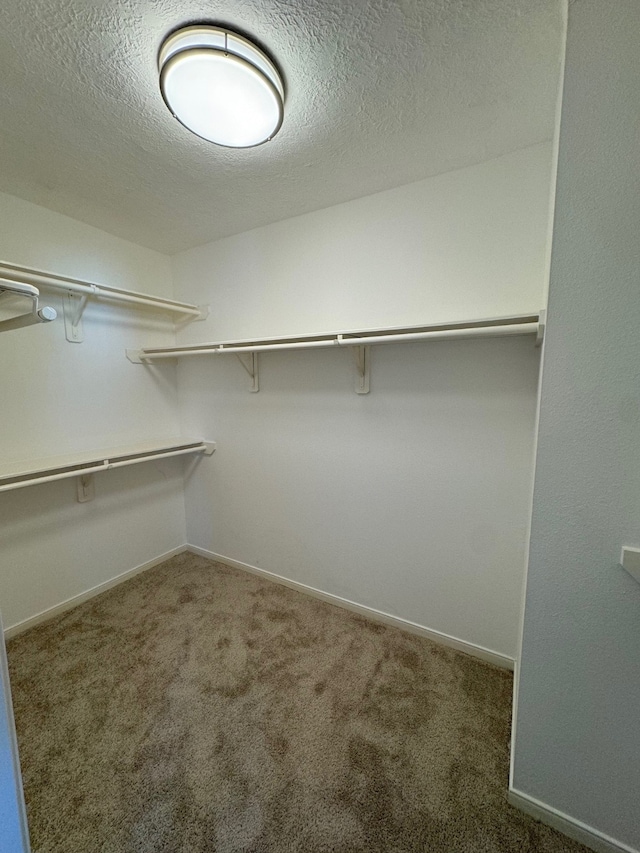 spacious closet featuring dark colored carpet