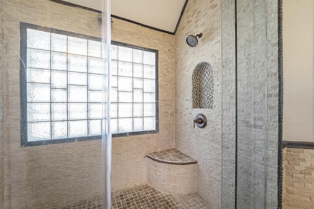 8215 Arrowhead Ln, Houston, TX 77075 - bathroom with a stall shower, lofted ceiling, healthy amount of natural light, and ornamental molding