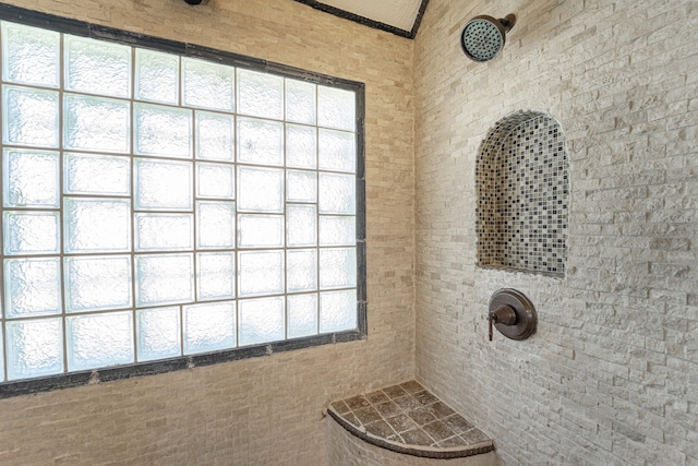 bathroom featuring a wealth of natural light and a shower