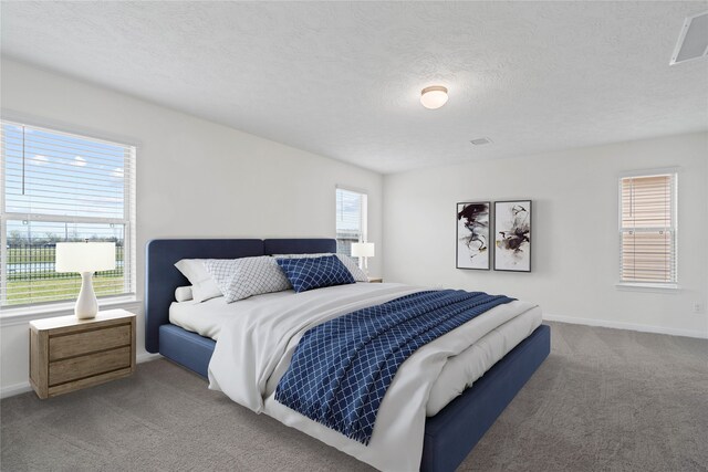 676 Imperial Loop, Alvin, TX 77511 - bedroom featuring baseboards, carpet floors, a textured ceiling, and visible vents