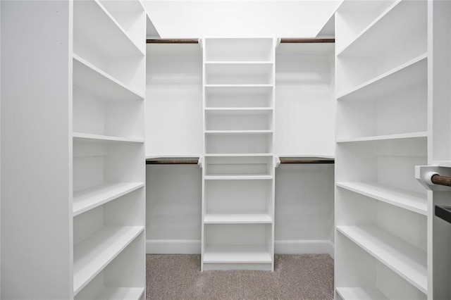 walk in closet with light colored carpet