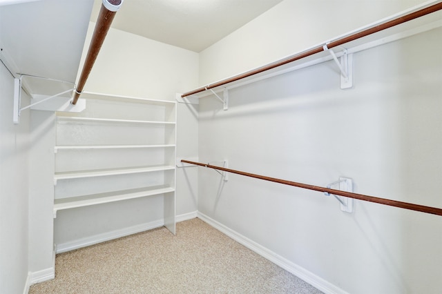 walk in closet with light colored carpet