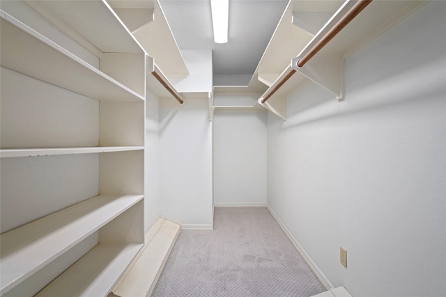 spacious closet with light colored carpet