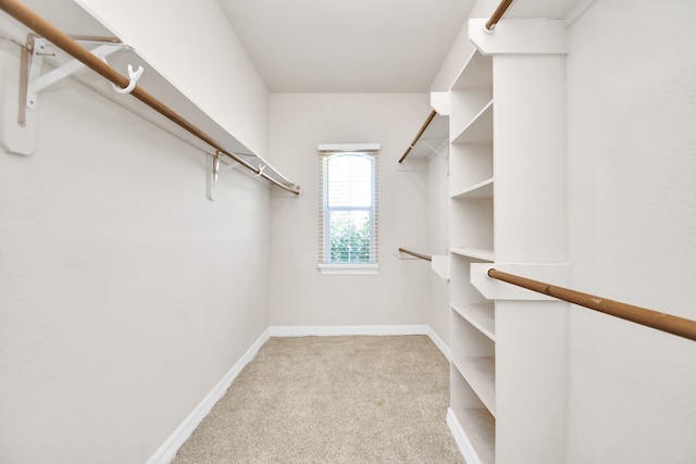 spacious closet with light carpet