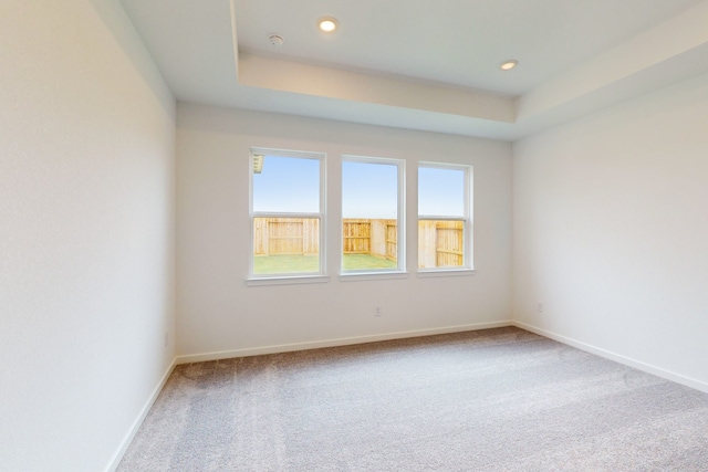 carpeted empty room featuring a raised ceiling