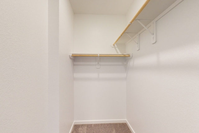 spacious closet featuring carpet flooring