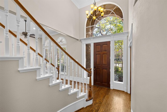 foyer entrance with a high ceiling, dark hardwood / wood-style floors, and ceiling fan with notable chandelier