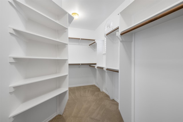 spacious closet featuring light carpet