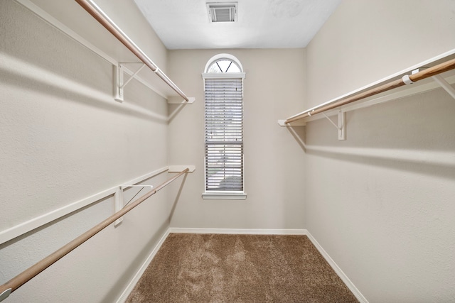 spacious closet with carpet