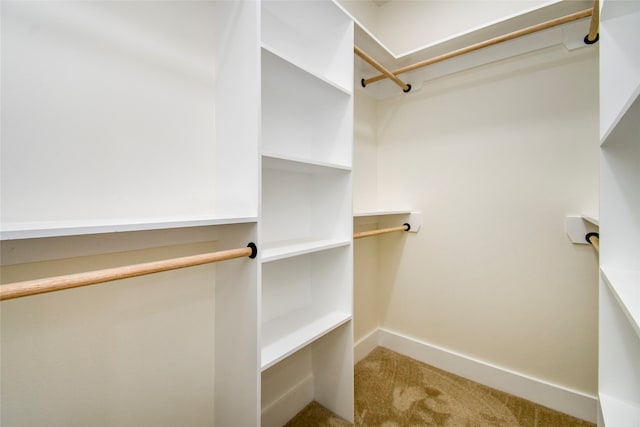 spacious closet featuring carpet floors