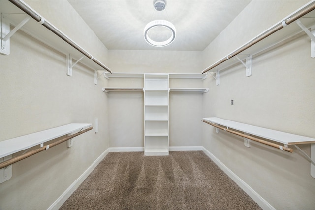 walk in closet featuring carpet