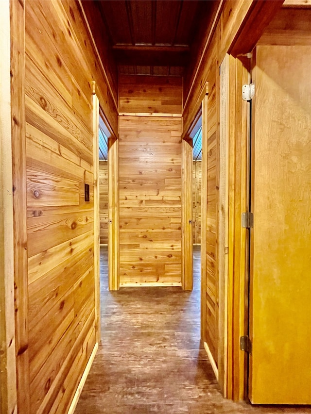 hall with wooden walls and hardwood / wood-style floors