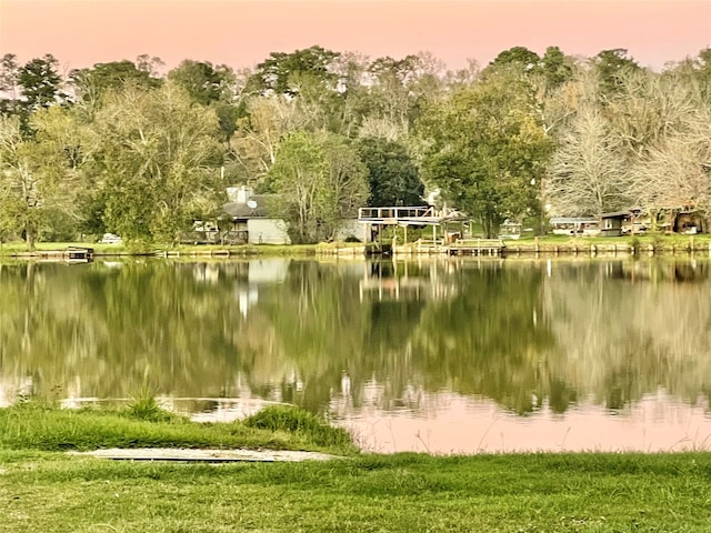 property view of water