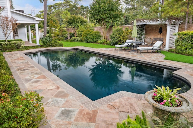 view of pool with a patio