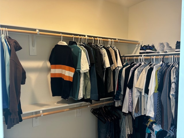 view of spacious closet