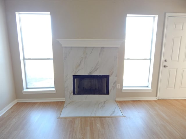 details featuring a fireplace and hardwood / wood-style flooring