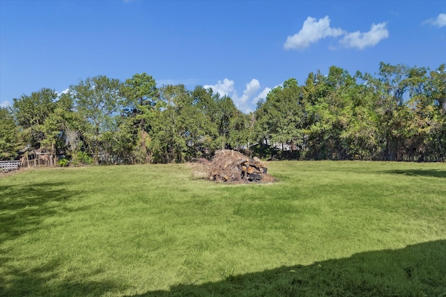 view of yard