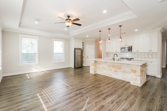 kitchen with appliances with stainless steel finishes, a tray ceiling, white cabinetry, and dark wood-type flooring