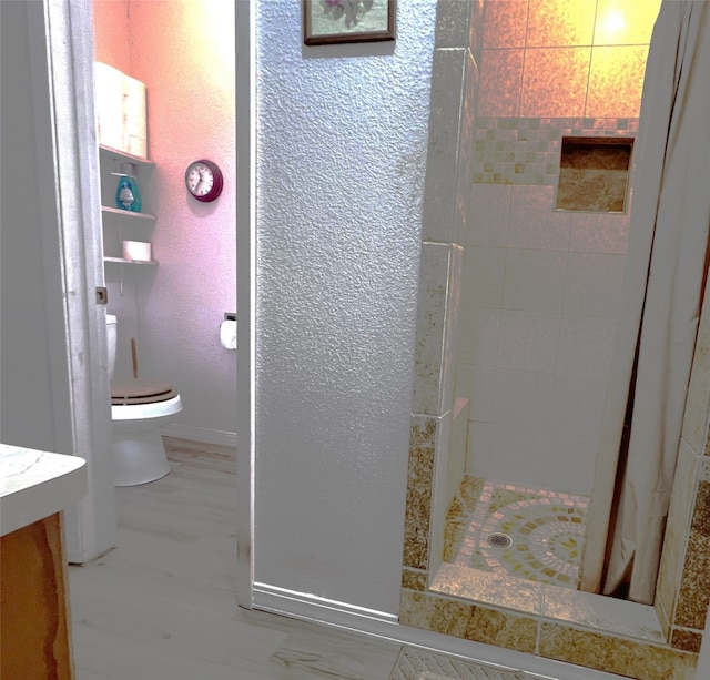 bathroom featuring vanity, curtained shower, and toilet