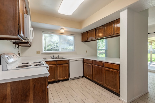 kitchen with white appliances, light hardwood / wood-style flooring, plenty of natural light, and sink