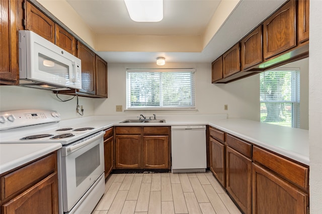 kitchen with white appliances, plenty of natural light, and sink