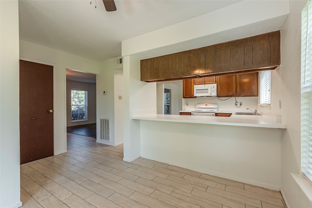 kitchen with plenty of natural light, light hardwood / wood-style floors, white appliances, and sink