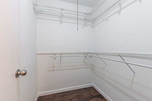 spacious closet with wood-type flooring