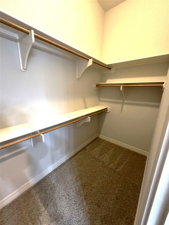 walk in closet with carpet floors