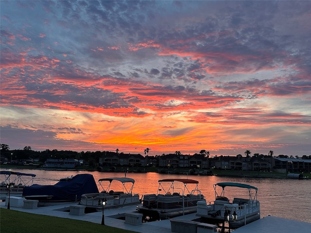 water view featuring a boat dock