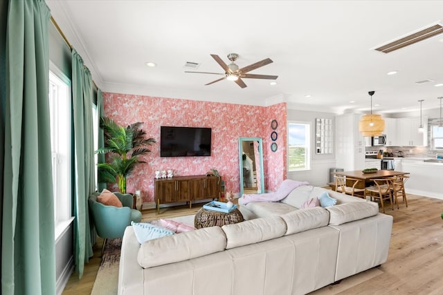 living room with light hardwood / wood-style floors, ceiling fan, and crown molding