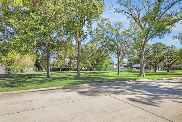 695 Rocky River Rd, Houston, TX 77056 - photo 5