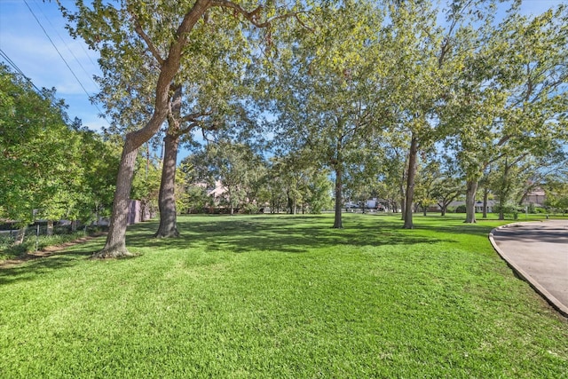 695 Rocky River Rd, Houston, TX 77056 - photo 6