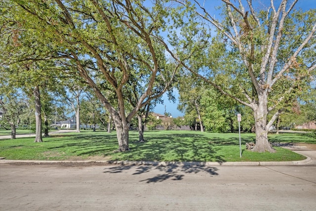 695 Rocky River Rd, Houston, TX 77056 - photo 8