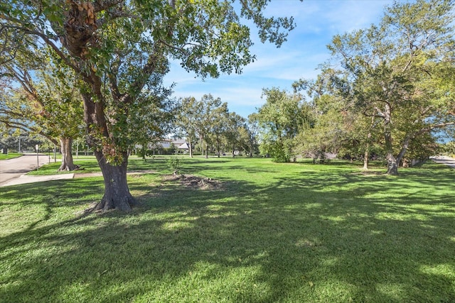695 Rocky River Rd, Houston, TX 77056 - photo 1