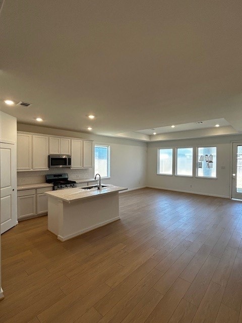 kitchen with a sink, stainless steel appliances, and wood finished floors