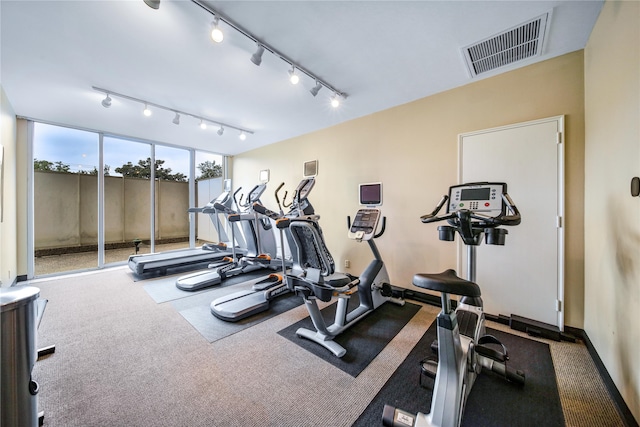 exercise room featuring carpet flooring and rail lighting