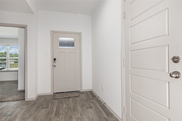 entryway with wood-type flooring