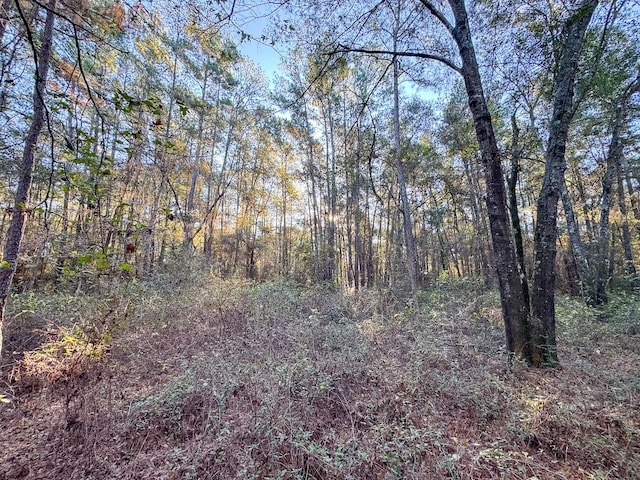 156 Lessa Ln, Huntsville, TX 77340 - photo 15