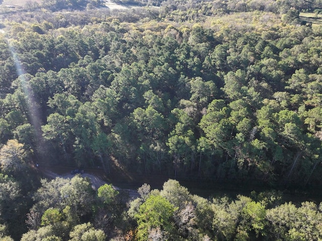 156 Lessa Ln, Huntsville, TX 77340 - photo 6