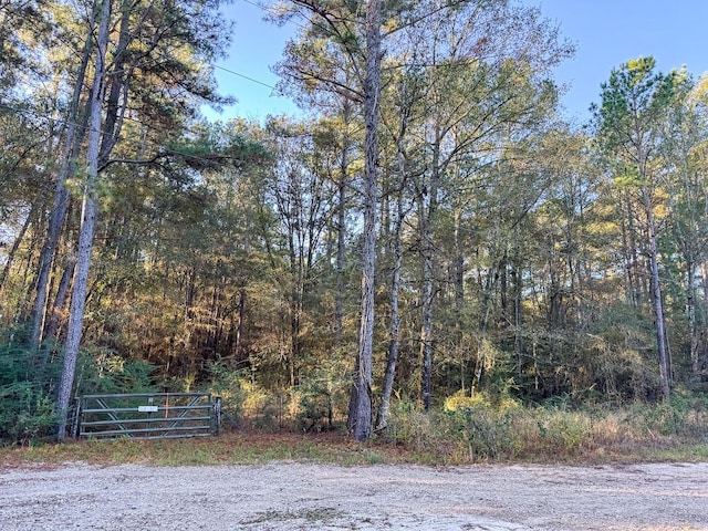 156 Lessa Ln, Huntsville, TX 77340 - photo 8