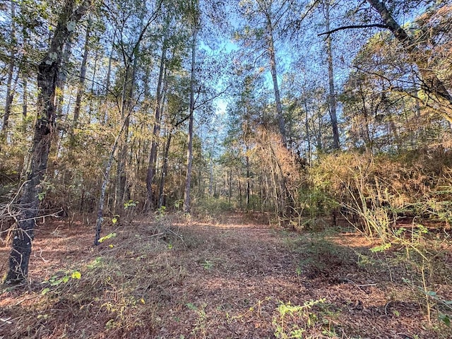 156 Lessa Ln, Huntsville, TX 77340 - photo 12