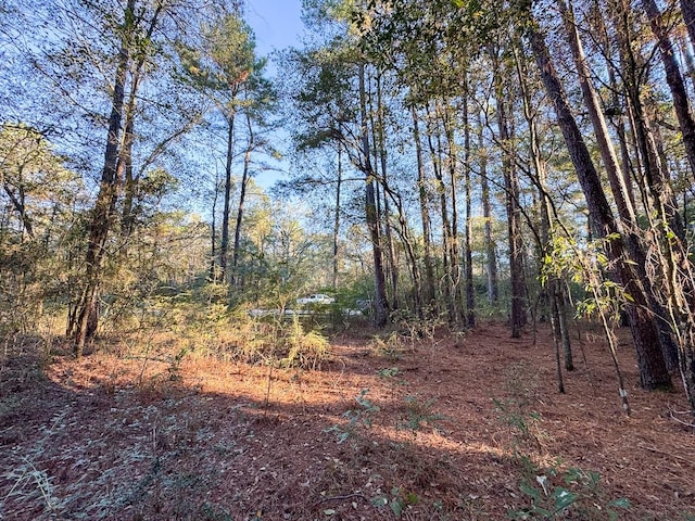 156 Lessa Ln, Huntsville, TX 77340 - photo 13