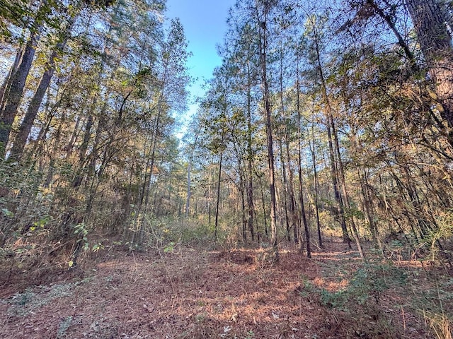 156 Lessa Ln, Huntsville, TX 77340 - photo 14