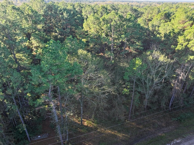 Listing photo 3 for 156 Lessa Ln, Huntsville TX 77340