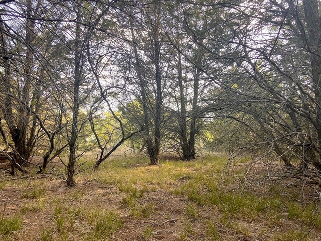 Listing photo 2 for 17ACRES- 000 Grassyville Rd, Paige TX 78659