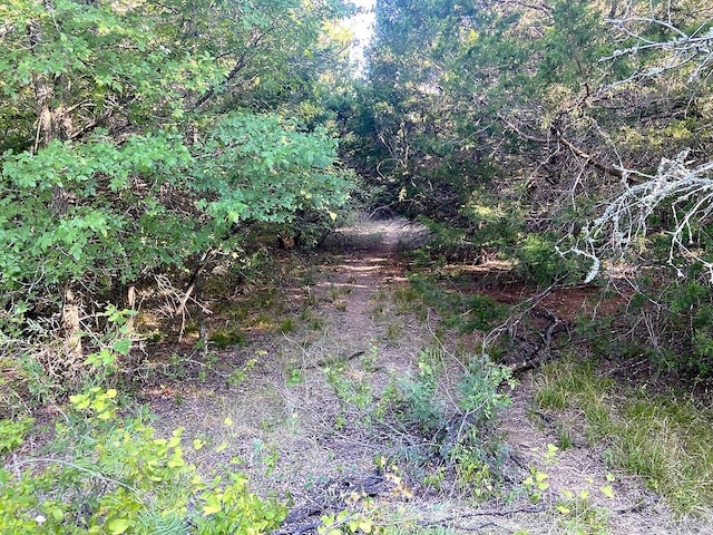 Listing photo 3 for 17ACRES- 000 Grassyville Rd, Paige TX 78659